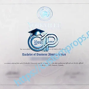 约克维尔大学文凭