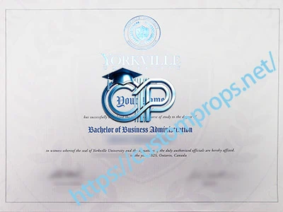 约克维尔大学文凭