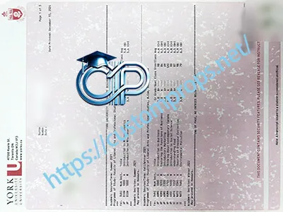 York University transcript