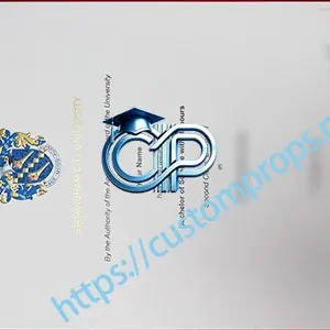 伯明翰城市大学文凭