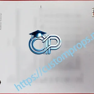 伯明翰大学成绩单