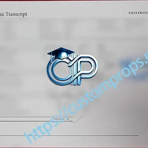 英国约克大学成绩单