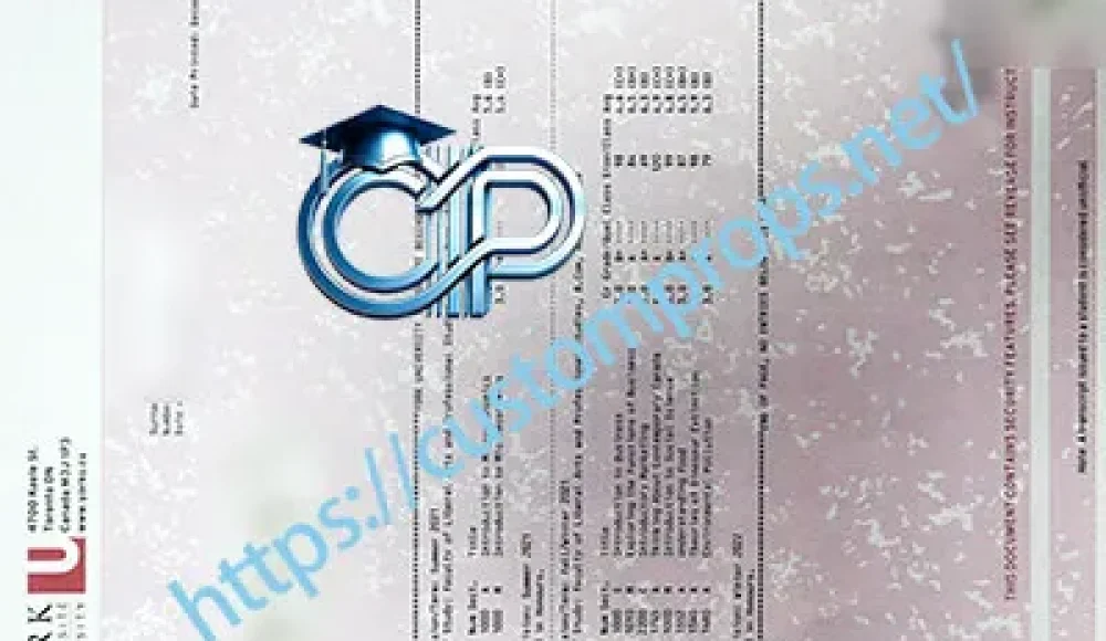 York University transcript